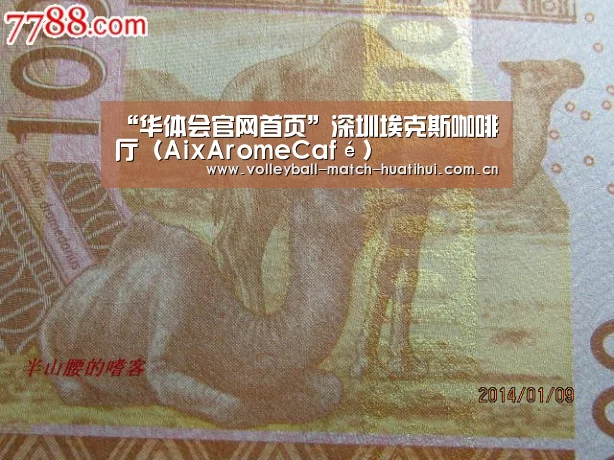 华体会体育网页版