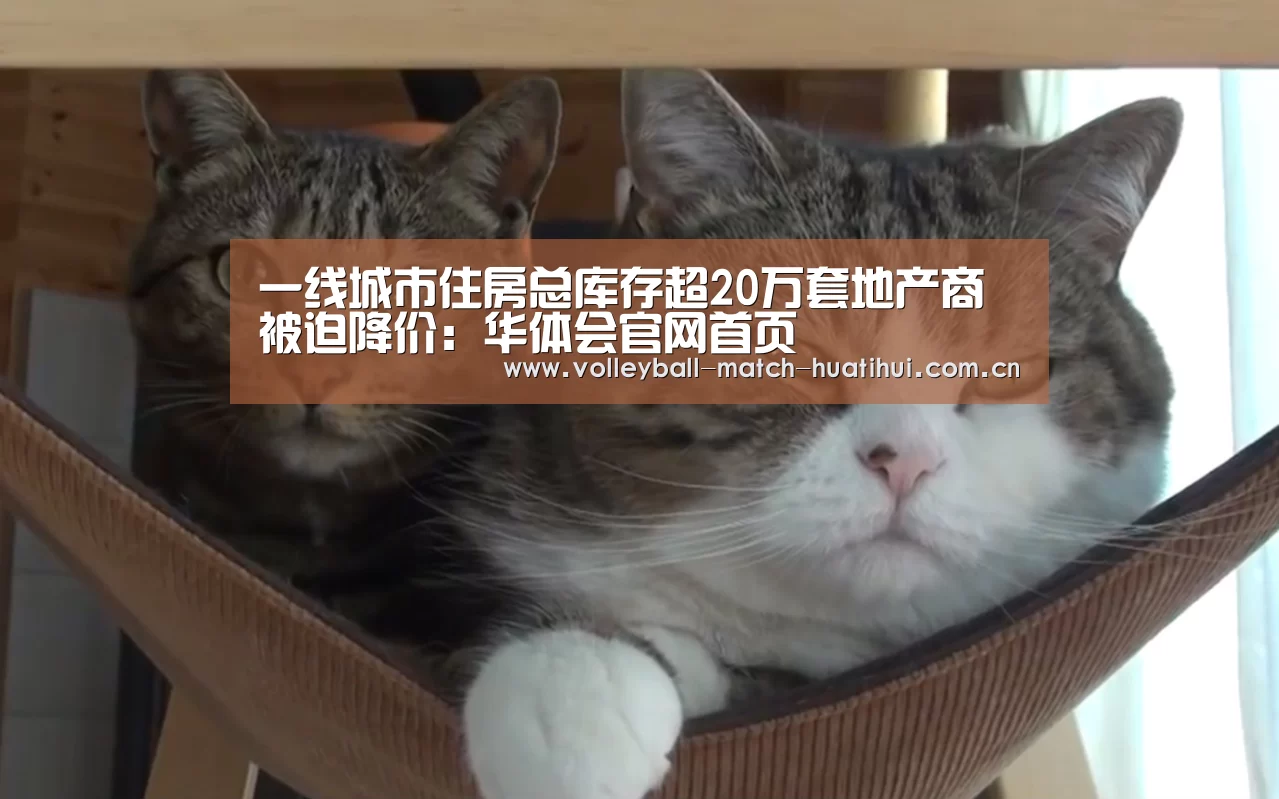 一线城市住房总库存超20万套地产商被迫降价:华体会官网首页(图3) 华体会首页