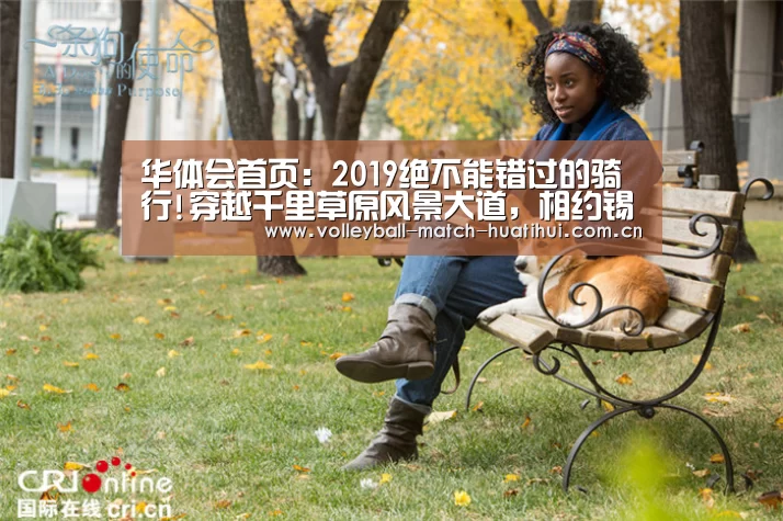 华体会体育网页版