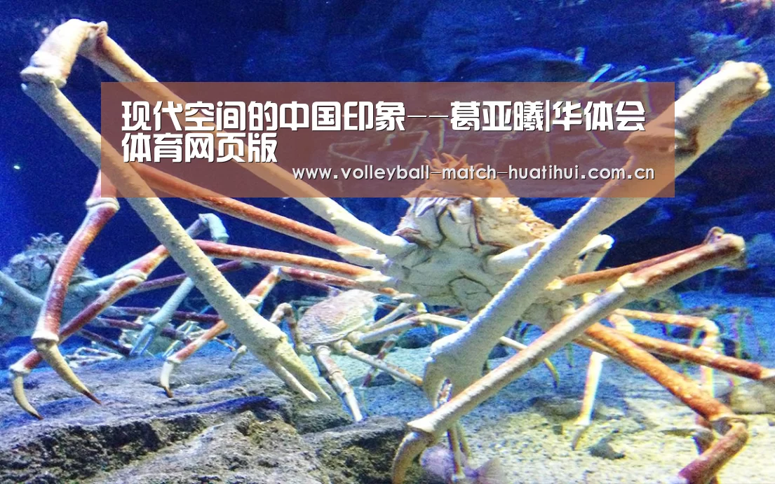 现代空间的中国印象--葛亚曦|华体会体育网页版(图1) 华体会官网首页